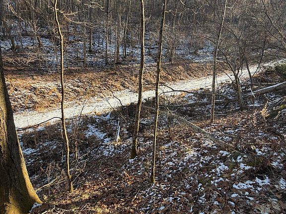 3rd image of Williams Ln