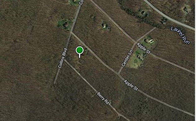 2nd image of 561 Apple Ln