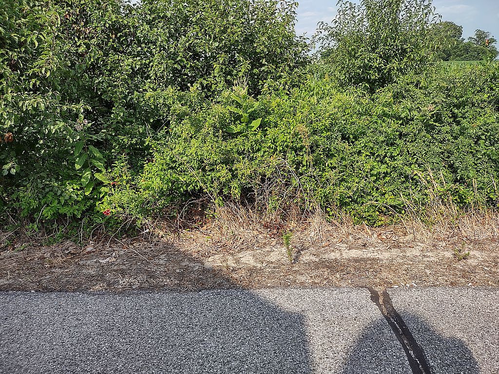 23450 Deal Island Rd, Chance, MD 21821 Zillow