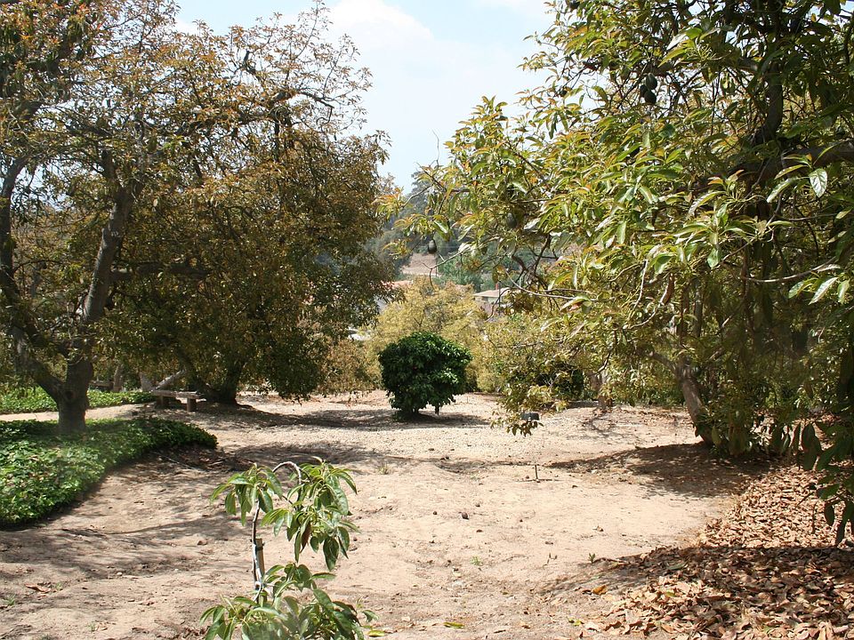 2nd image of 201 View Lot