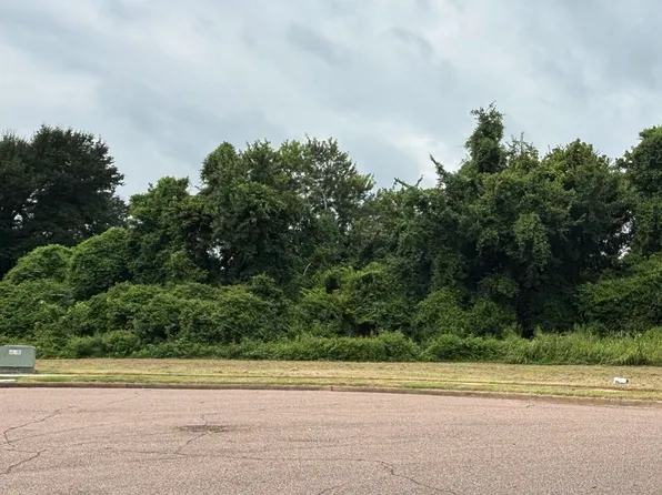 5041 CARTERVILLE PL, Memphis, TN 38127