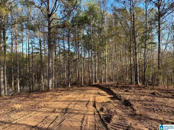 Firehouse Rd, Goodwater, AL 35072