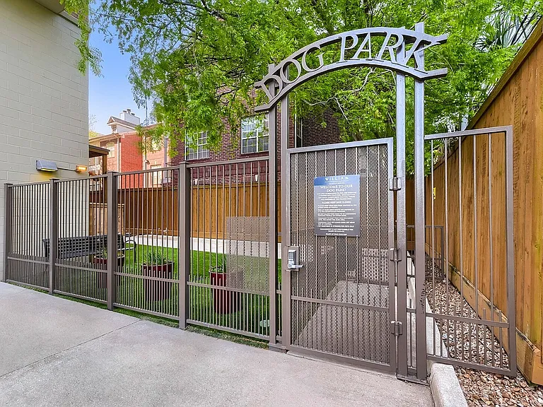 Dog Park