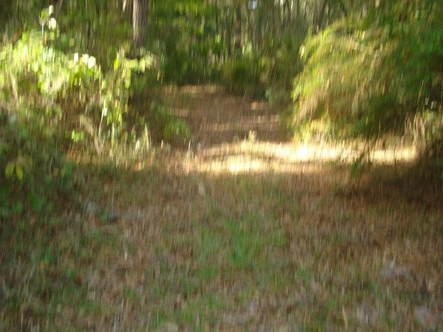 1st image of 2383 Bent Pine Ln