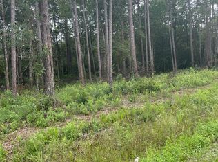 8701 Poppy Ct, Middleburg, FL 32068