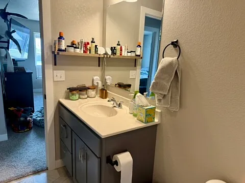 Main floor bathroom vanity