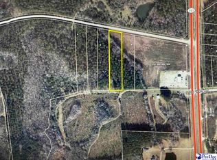 LOT 2 Lenson Mangum Rd, Pageland, SC 29728