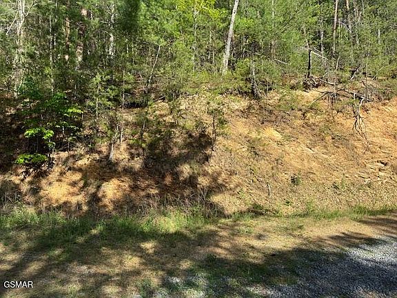 4th image of LOT 5 Dove View Rd