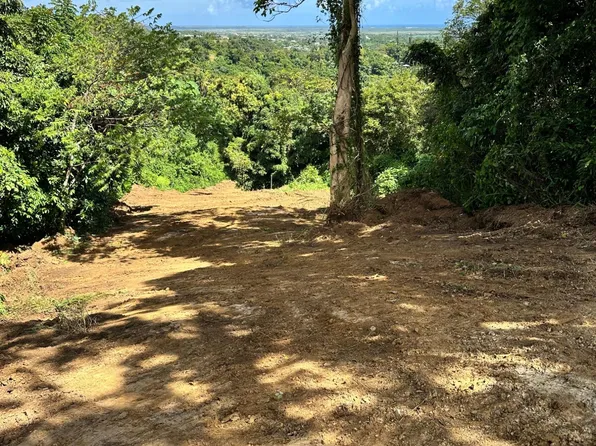 Carr 966 Jimenez Ward, Rio Grande, PR 00745