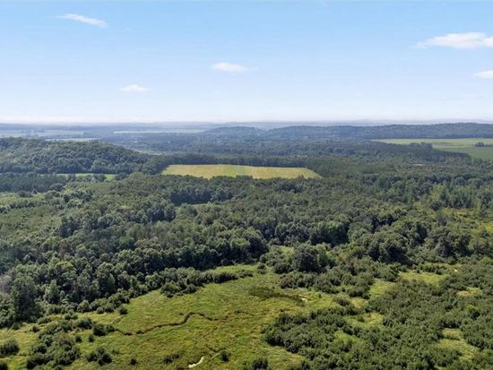 142 acres 570th Street, Wheeler, WI 54772