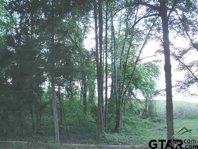 1st image of 13 County Road 4396