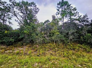 105 BRONSON STREET NW LOT 16, LAKE PLACID, FL 33852