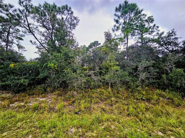 105 BRONSON STREET NW LOT 16, LAKE PLACID, FL 33852