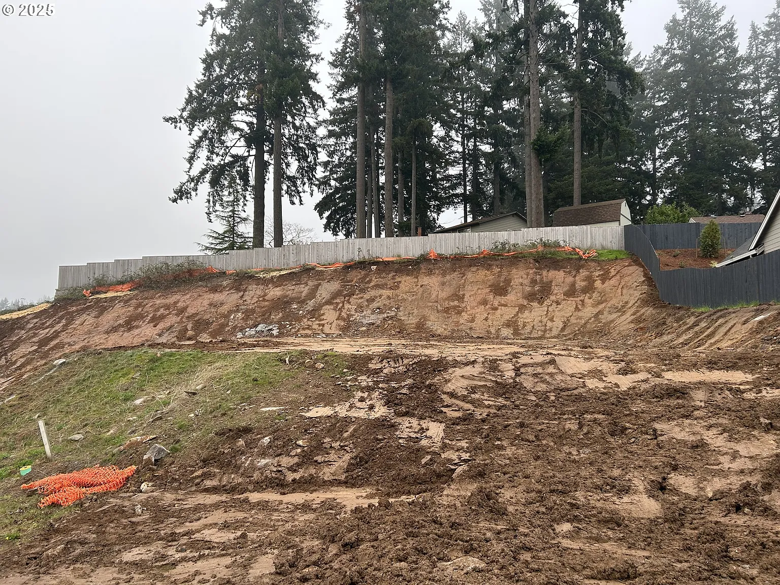 16100 Serres Farms Way #50 photo 1