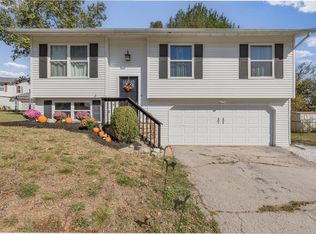 9802 Sandy Church Rd, Hillsboro, MO 63050