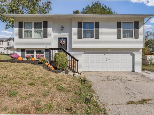 9802 Sandy Church Rd, Hillsboro, MO 63050
