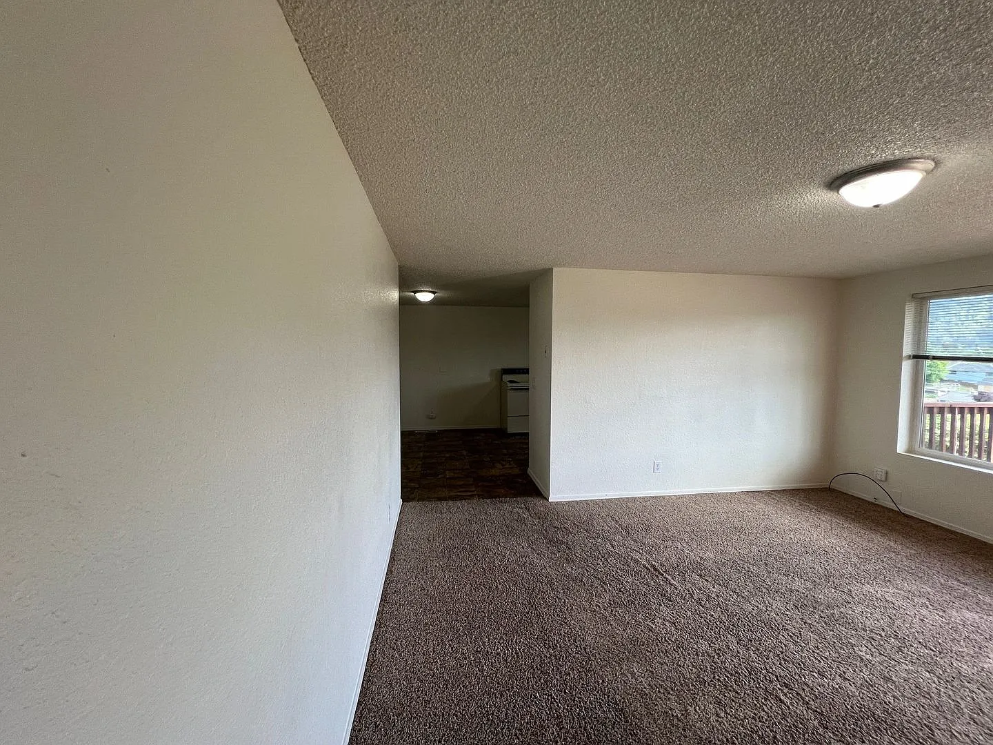 alc01 — Photo 3