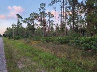 1010 Edison Ave, Lehigh Acres, FL 33972