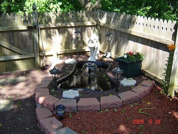 Backyard- Fish Pond