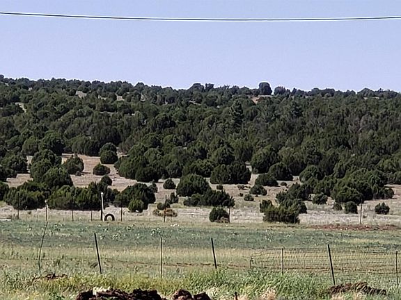 3rd image of 5234 Desert Breeze Rd #5546