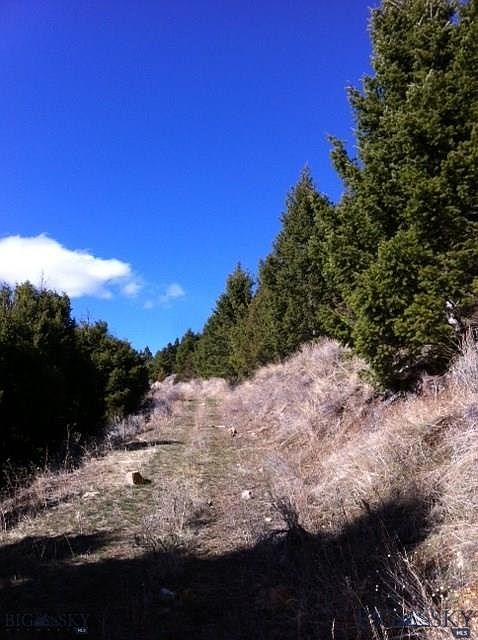 2nd image of Alder Gulch