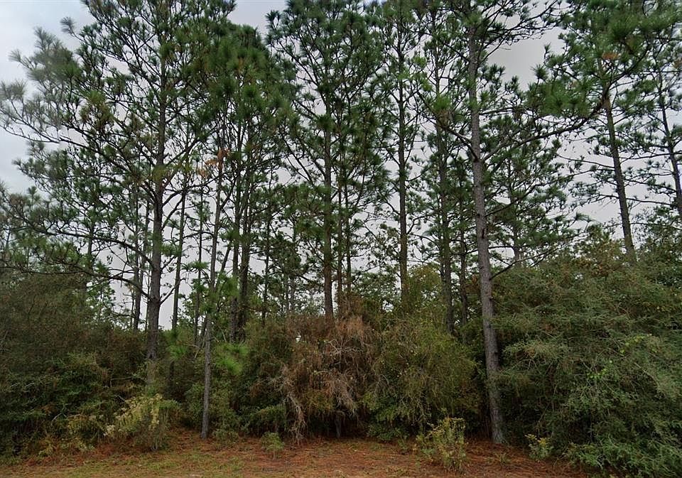 1st image of Deltona Blvd Lot 25