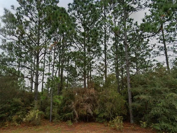 Deltona Blvd Lot 25, Chipley, FL 32428