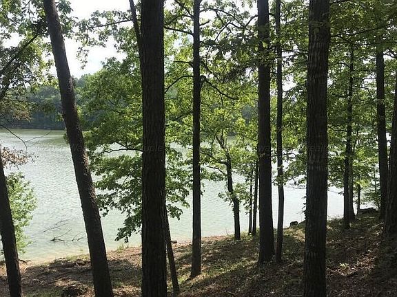 2nd image of LOT 23 County Road 106
