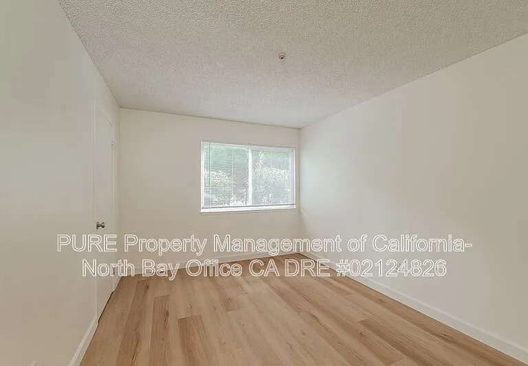 146 Brush Creek Rd — Photo 11