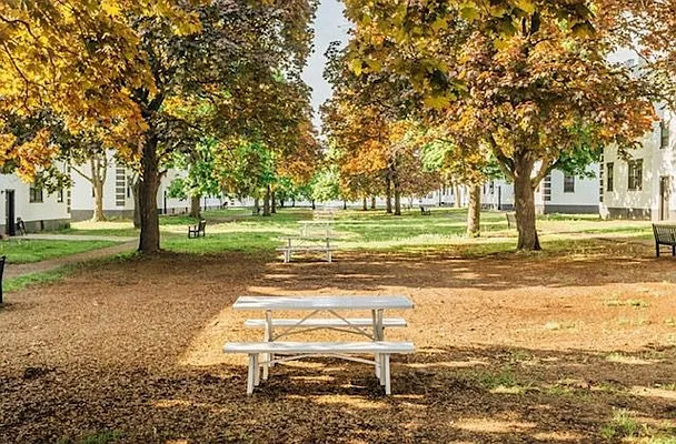 Rented by null | media 20