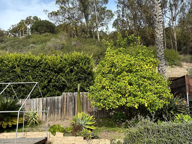 Scenic Dr — Photo 20