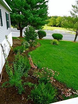 Landscaping
