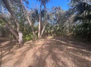 21731 Park St, Alva, FL 33920