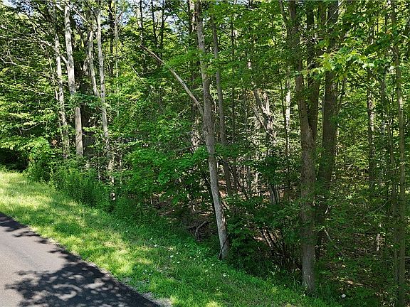 5th image of County Road 49 #5