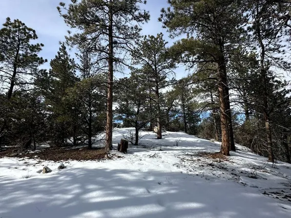 Oak Dr, Westcliffe, CO 81252