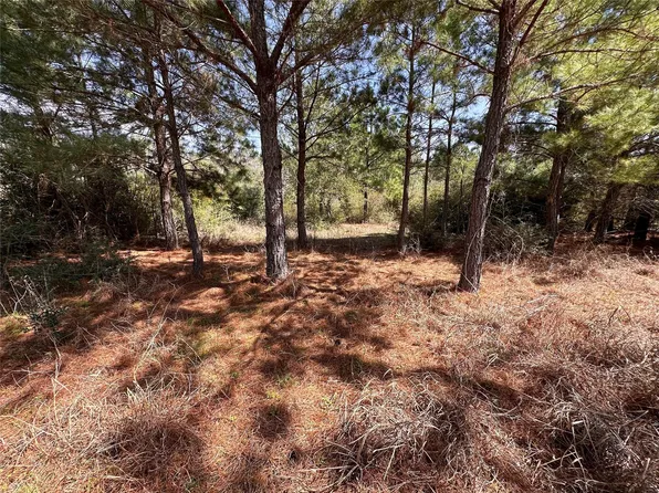 Hula Ln, Bastrop, TX 78602