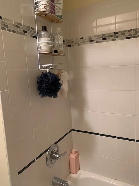 1 bed, 800 sqft, $950 — Photo 3