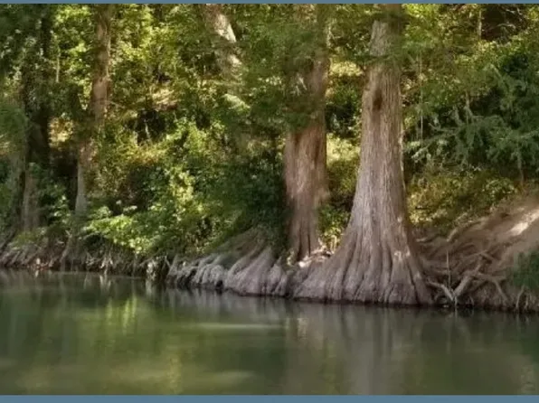 1331 Misty Ln LOT 38, Spring Branch, TX 78070