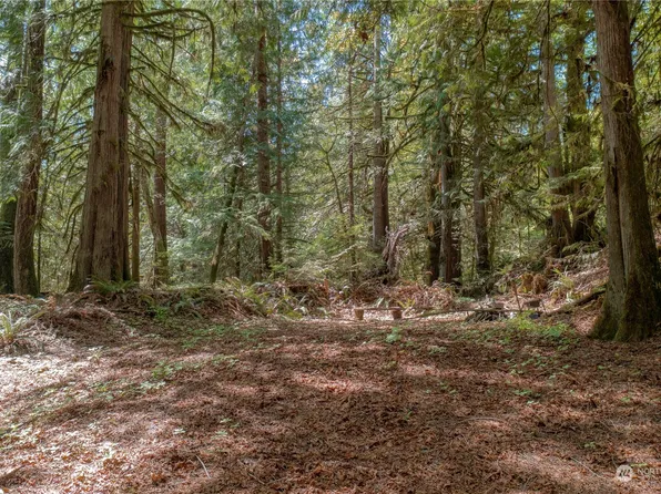 94 N Sylvester Lane, Lilliwaup, WA 98584