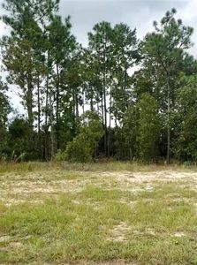 SW 86th Ave Unit 12, Ocala, FL, 34473