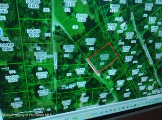 271 N Merrymen Pl, Inverness, FL 34450