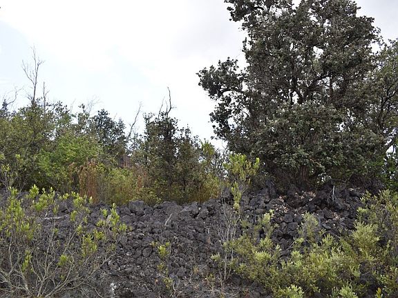 2nd image of 92-1986 Aloha Blvd Lot 7