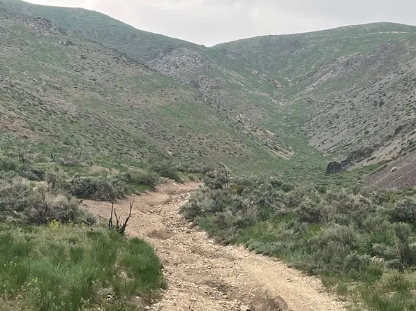 No Address Available Apn 1122 #-002-015, Virginia City, NV 89440