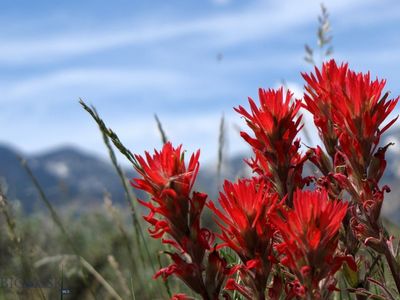 Rio Ln, Belfry, MT, 59008