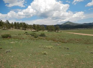 1002 County 111 Rd, Florissant, CO 80816