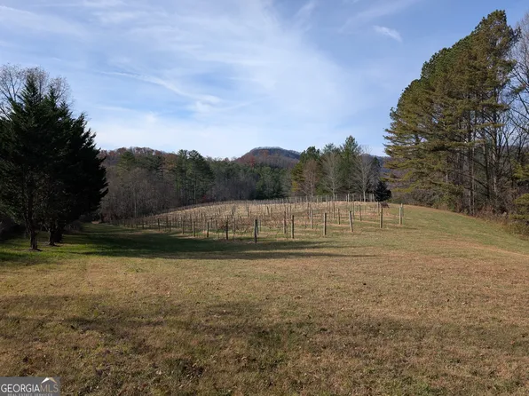 LOT 2 Mr Bert Rd, Hiawassee, GA 30546