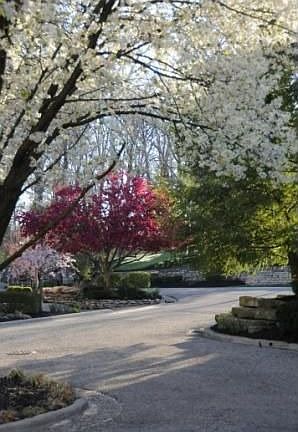 View from the front door in the spring!