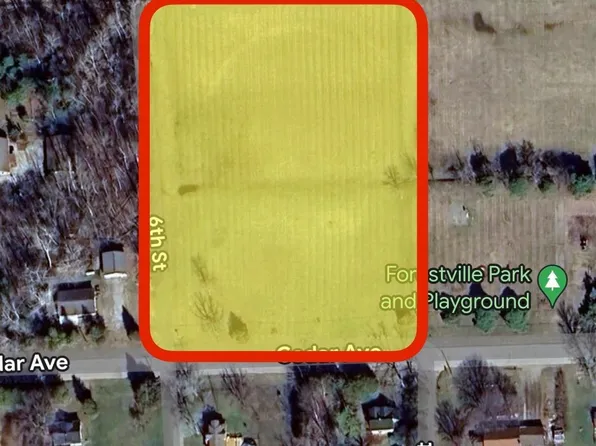 0 Cedar Ave, Forestville, MI 48434
