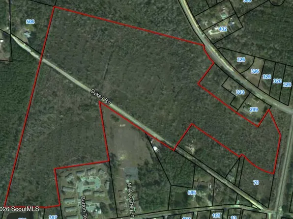 V/l Burton St, Nahunta, GA 31553