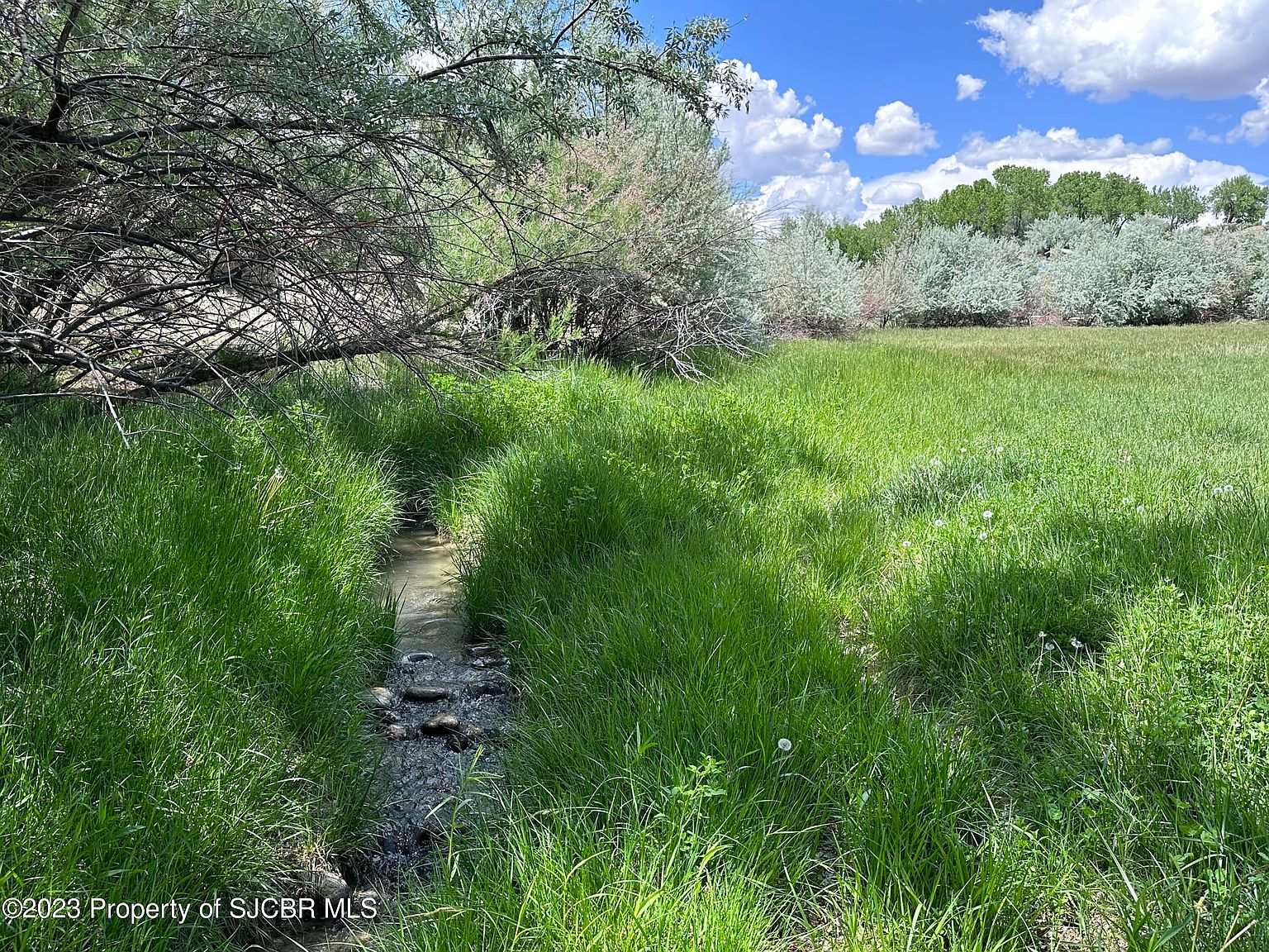 111 Road 4800, Bloomfield, NM 87413 MLS 23606 Zillow